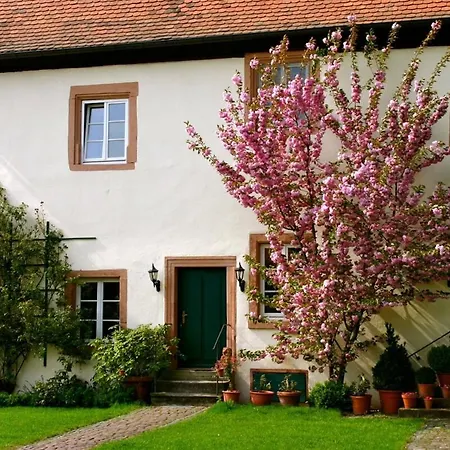 Historisches Haus - Innere Burg - Fuer Gruppen Semesterbostad Habitzheim
