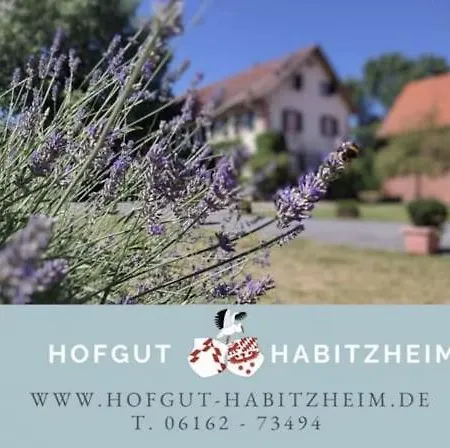 Semesterbostad Historisches Haus - Innere Burg - Fuer Gruppen Habitzheim