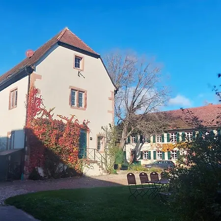 Historisches Haus - Innere Burg - Fuer Gruppen Semesterbostad Habitzheim